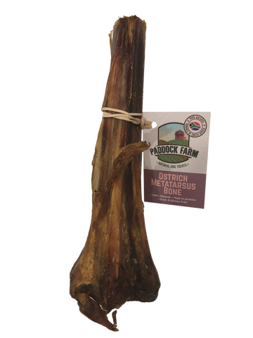 Ostrich Metatarsus Natural Dog Treat Bone